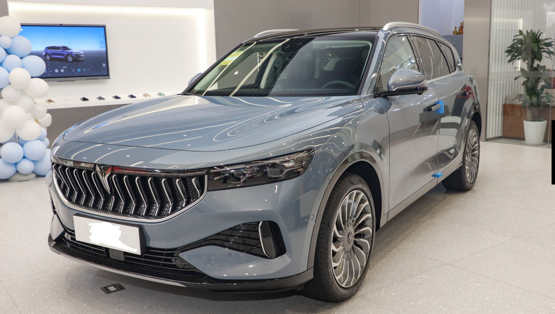 Pure Electric VOYAH Free 2021 Two Drive Middle Large EV SUV NEDC 505km